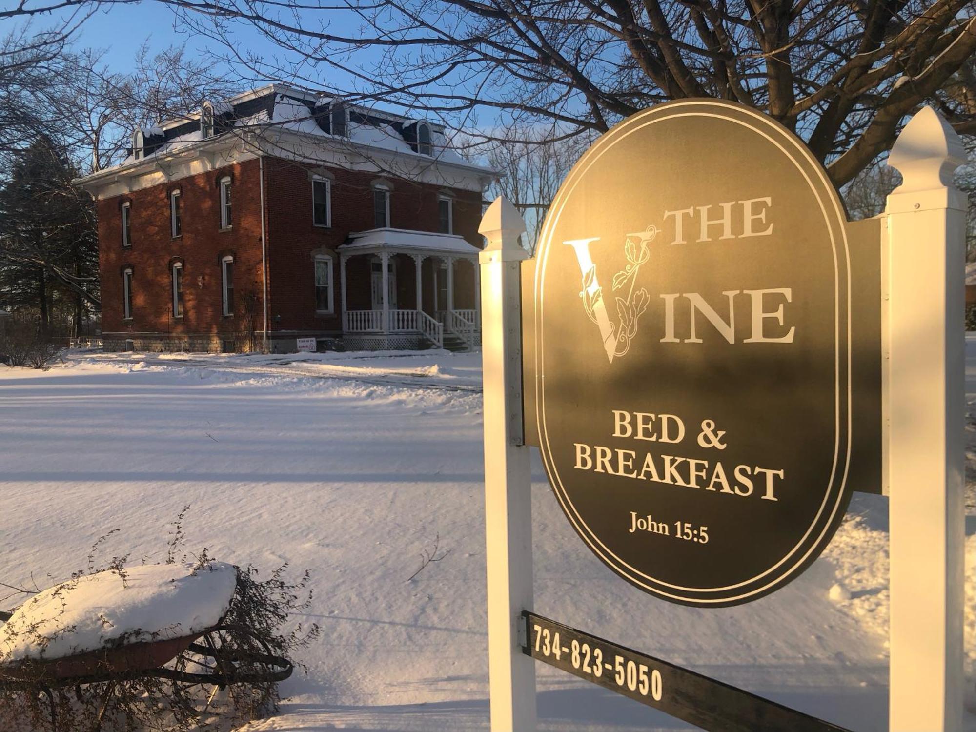 The Vine Bed & Breakfast, Llc Данді Екстер'єр фото